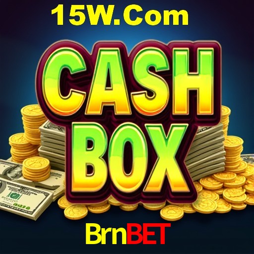 Security Systems Brnbet